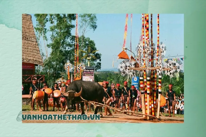 Lễ hội Đâm trâu