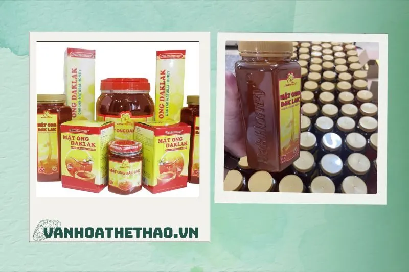 Công ty Cổ phần ong mật Đắk Lắk - DakHoney
