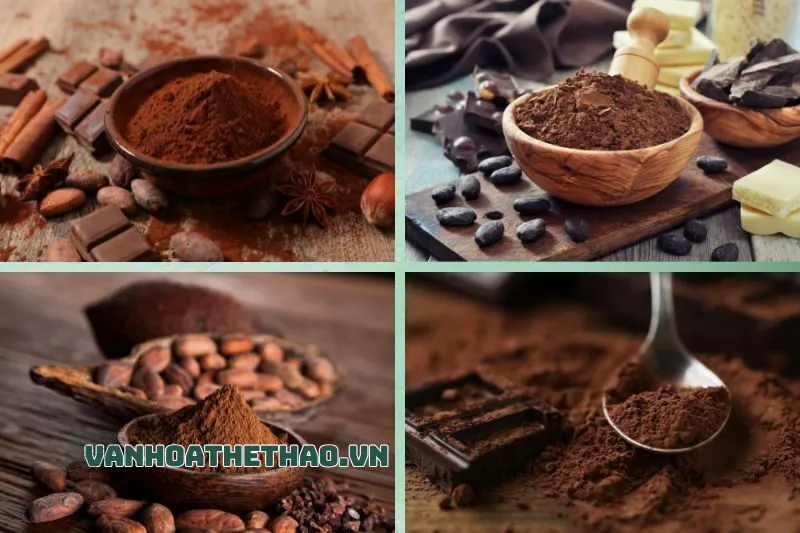 Top 7 Địa Chỉ Mua Bột Cacao Đắk Lắk Nguyên Chất Cực Uy Tín