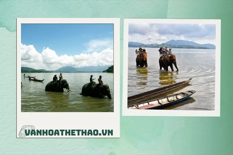 Các Hoạt Động Tại Khu Du Lịch Hồ Lắk Đắk Lắk