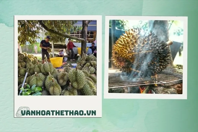 Cách làm sầu riêng nướng Đắk Lắk tại nhà