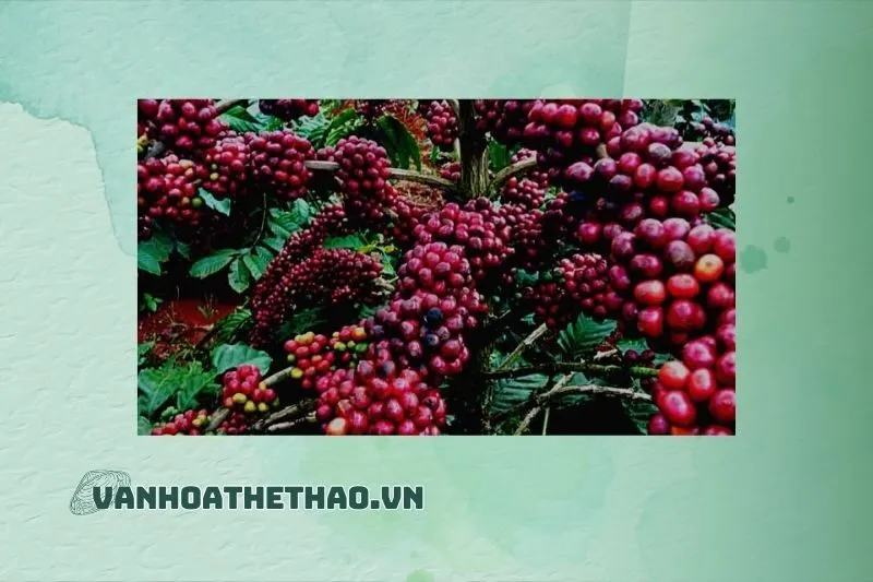 Chính sách đất đai chưa rõ ràng, người dân thiếu quyền sở hữu lâu dài