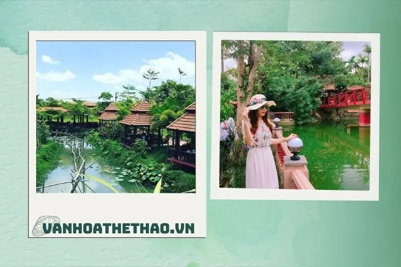 Đặc Sắc Cảnh Quan Thiên Nhiên Tại Du Lịch Sinh Thái Đồi Thông Đắk Lắk