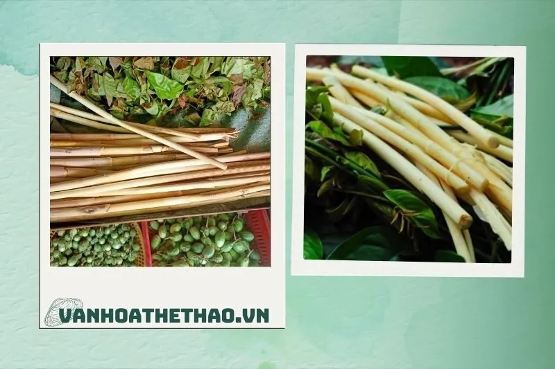 Đọt mây xào với thịt khô