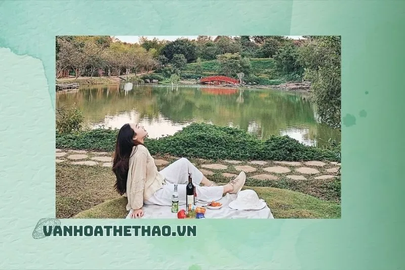 Du Lịch Sinh Thái Đồi Thông Đắk Lắk Là Điểm Đến Lý Tưởng Cho Chuyến Tham Quan