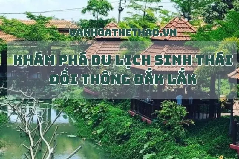 Khám Phá Du Lịch Sinh Thái Đồi Thông Đắk Lắk