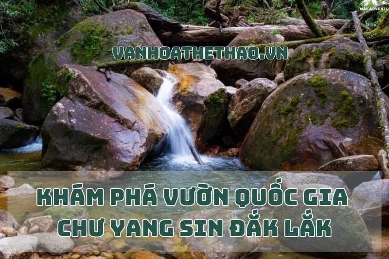 Khám Phá Vườn Quốc Gia Chư Yang Sin Đắk Lắk