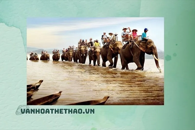 Kinh Nghiệm Khu Du Lịch Hồ Lắk Đắk Lắk Từ Du Khách