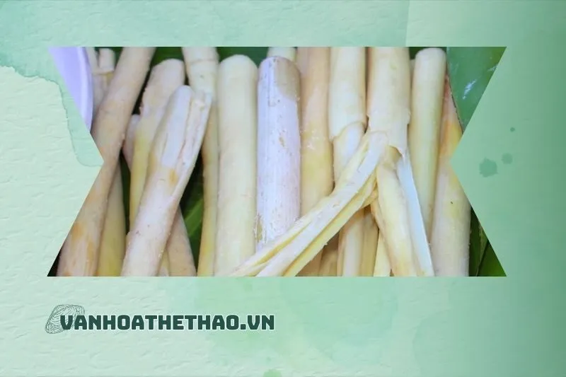 Lợi ích sức khỏe của đọt mây Đắk Lắk