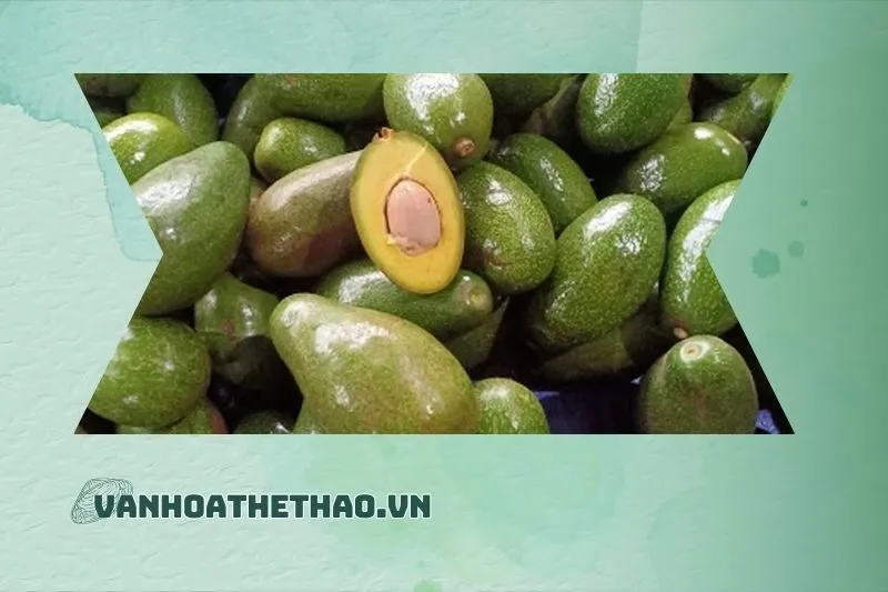 Mua Bơ Sáp Đắk Lắk – Lựa Chọn Tốt Nhất Cho Người Tiêu Dùng