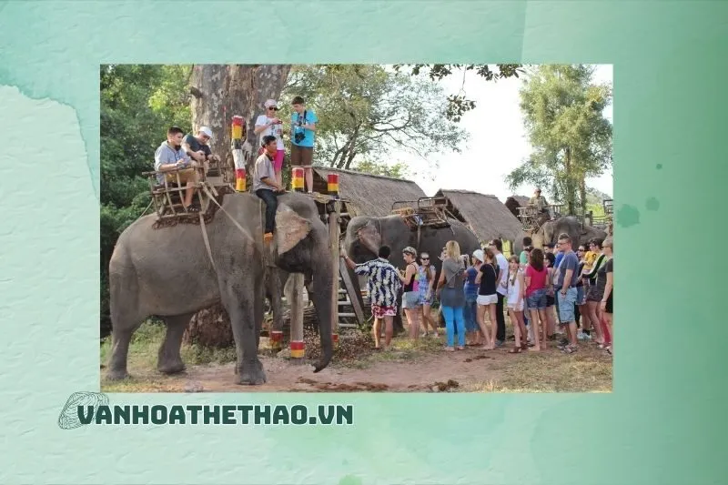 Nghỉ Dưỡng và Chỗ Ở Khi Du Lịch Buôn Jun - Buôn Lê Đắk Lắk