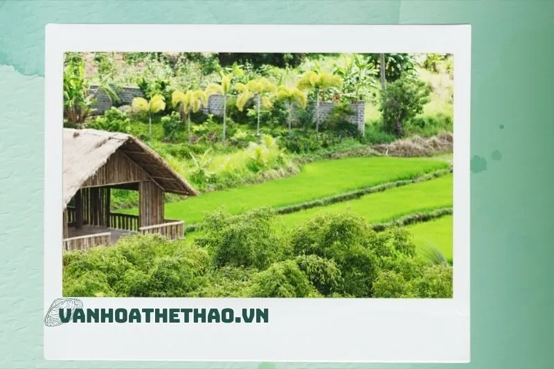 Những Điểm Check-in Đẹp Tại Du Lịch Sinh Thái Đồi Thông Đắk Lắk