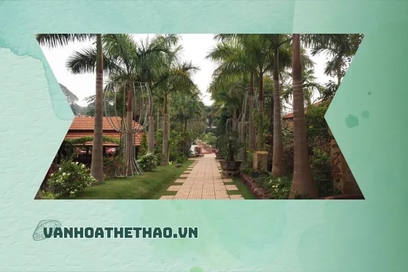 Những Kinh Nghiệm Du Lịch Sinh Thái Đồi Thông Đắk Lắk