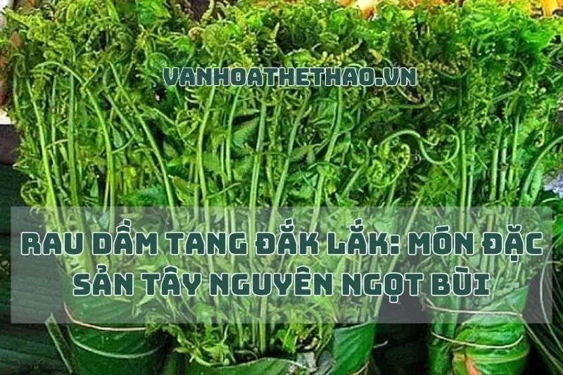 Rau Dầm Tang Đắk Lắk: Món Đặc Sản Tây Nguyên Ngọt Bùi