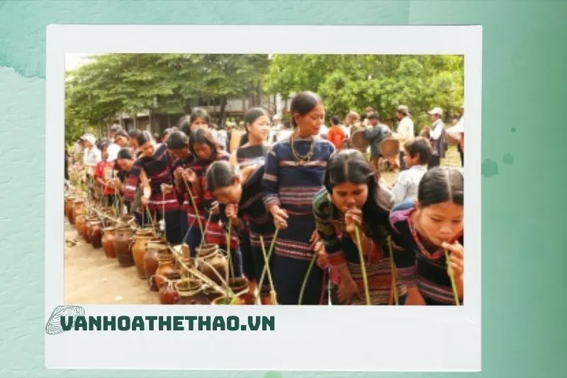 Rượu Cần Đắk Lắk – Sự Phát Triển Kinh Tế Của Các Gia Đình