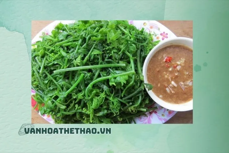 Tại Sao Rau Dầm Tang Là Đặc Sản Đặc Biệt Của Đắk Lắk và Tây Nguyên?