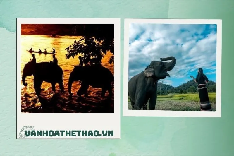 Tổng Quan Về Buôn Đôn Đắk Lắk