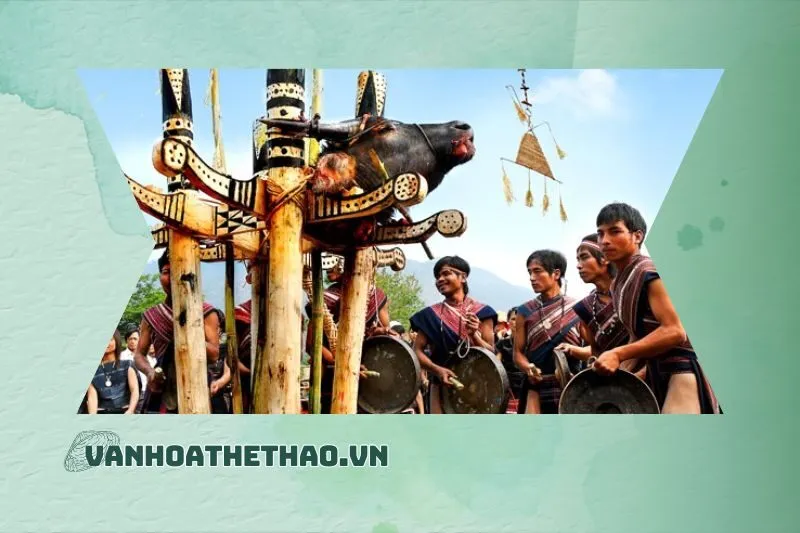 Các hoạt động và trải nghiệm trong lễ hội