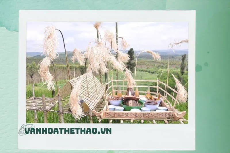 Các nghi thức trong lễ cúng lúa trổ bông Đắk Lắk