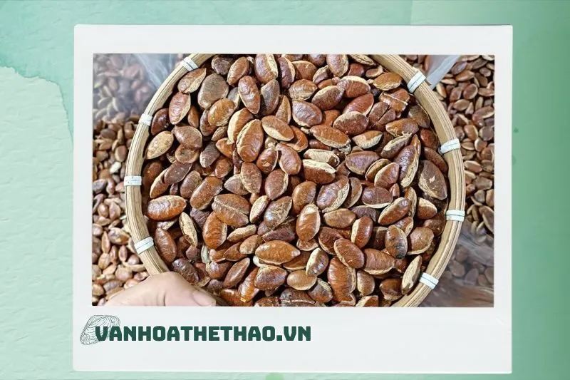 Công dụng của hạt Kơnia Đắk Lắk