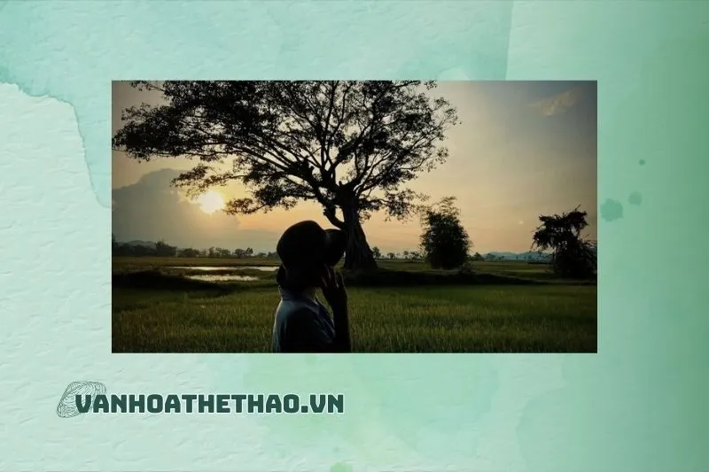 Đánh giá và trải nghiệm của du khách