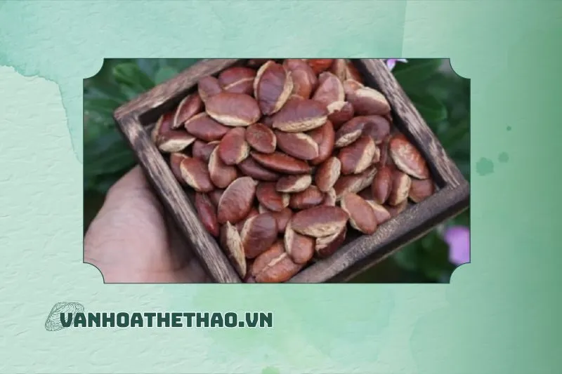 Hạt Kơnia Đắk Lắk là gì?