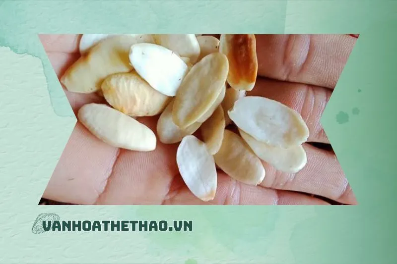 Hạt Kơnia Đắk Lắk và sức khỏe