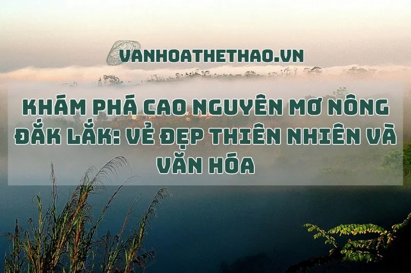 Khám Phá Cao Nguyên Mơ Nông Đắk Lắk: Vẻ Đẹp Thiên Nhiên và Văn Hóa