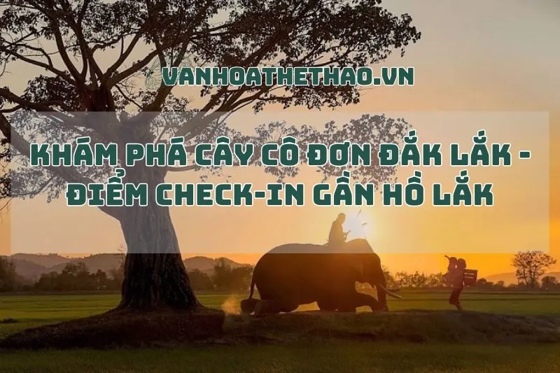 Khám Phá Cây Cô Đơn Đắk Lắk - Điểm Check-in Gần Hồ Lắk