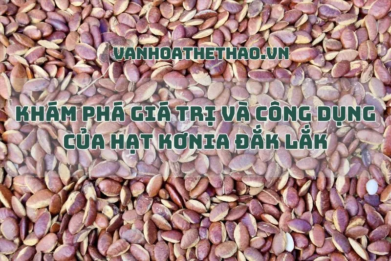Khám Phá Giá Trị Và Công Dụng Của Hạt Kơnia Đắk Lắk