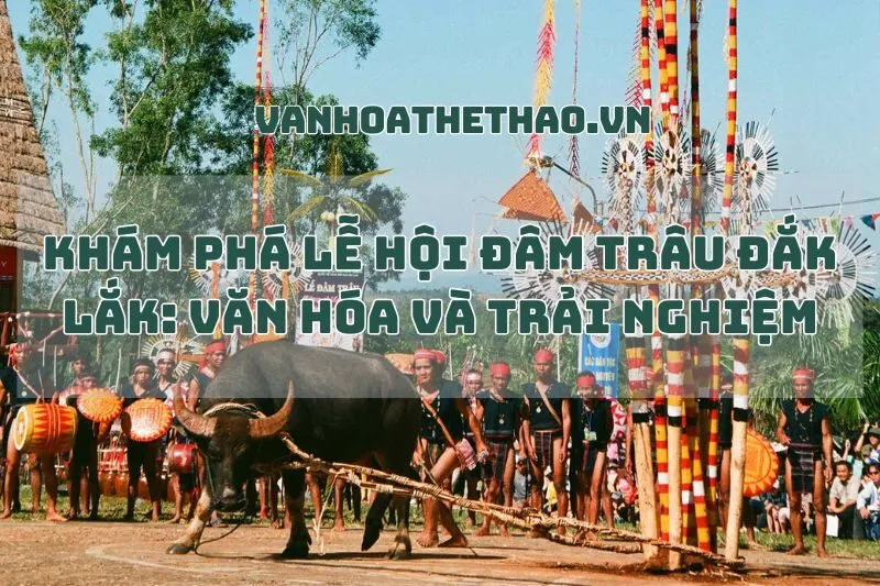 Khám phá Lễ hội Đâm trâu Đắk Lắk: Văn hóa và Trải nghiệm