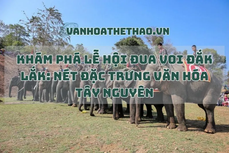 Khám Phá Lễ Hội Đua Voi Đắk Lắk: Nét Đặc Trưng Văn Hóa Tây Nguyên
