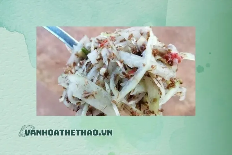 Những món ăn kèm phổ biến với gỏi đu đủ kiến lửa