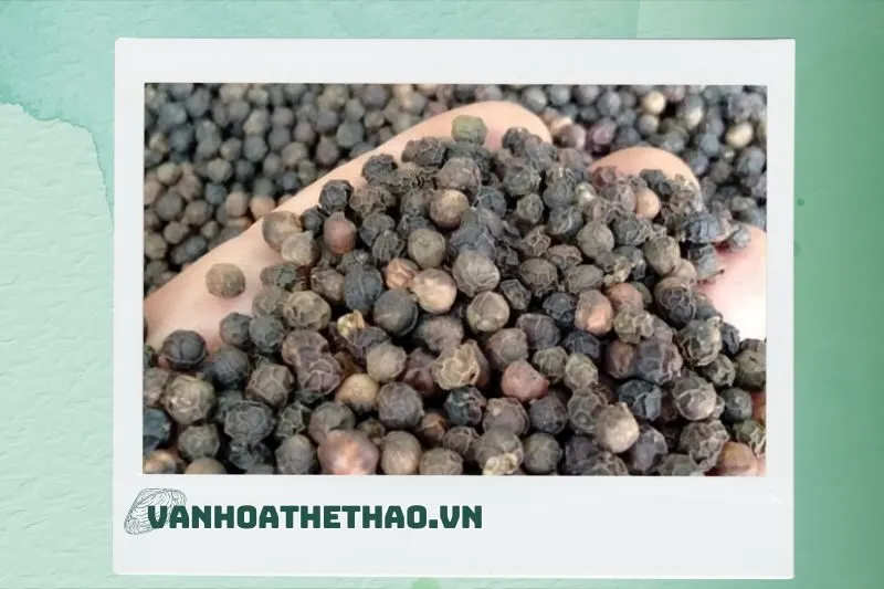 Tại sao nên chọn tiêu khô từ Đắk Lắk?