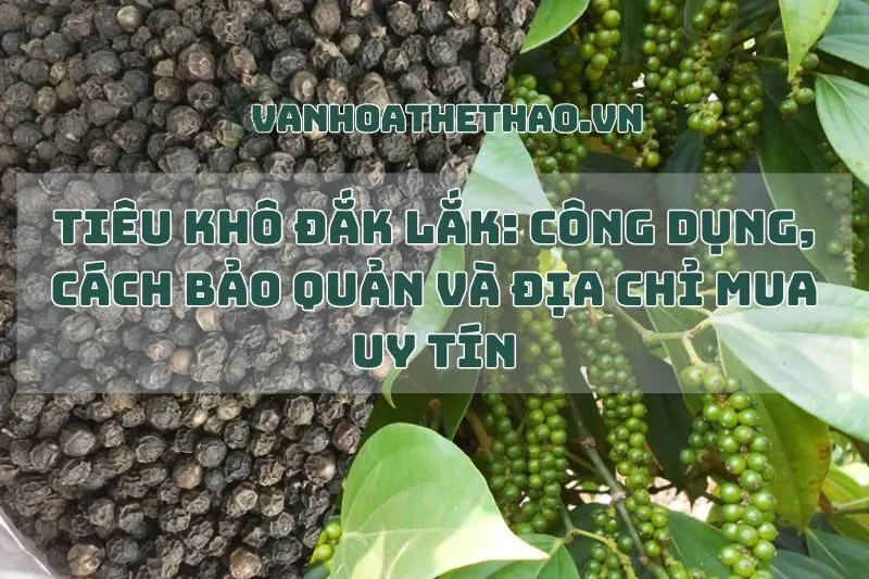 Tiêu khô Đắk Lắk: Công dụng, cách bảo quản và địa chỉ mua uy tín