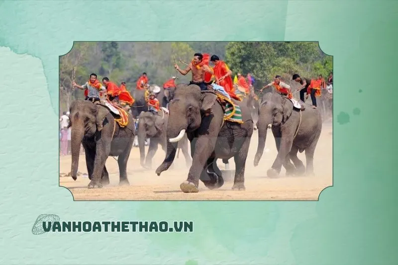 Tổng quan về Lễ hội Đua voi Đắk Lắk